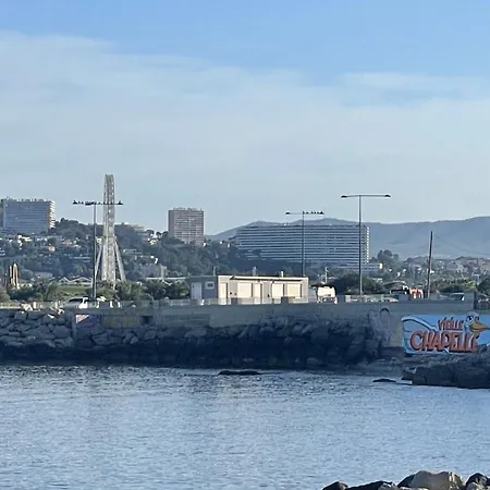 Balaena Marsiglia